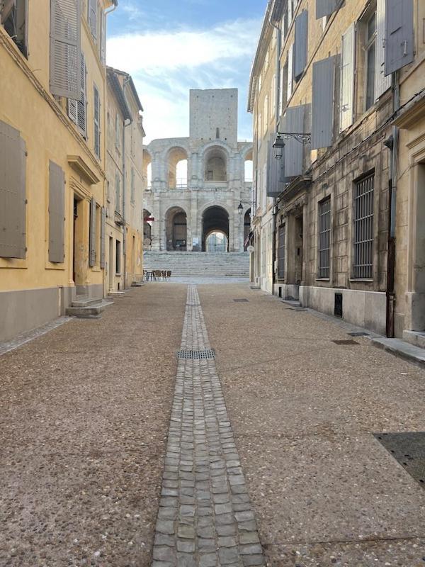 "La Pradeto" Gite Rural Camargue Арл Екстериор снимка